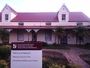 stellies